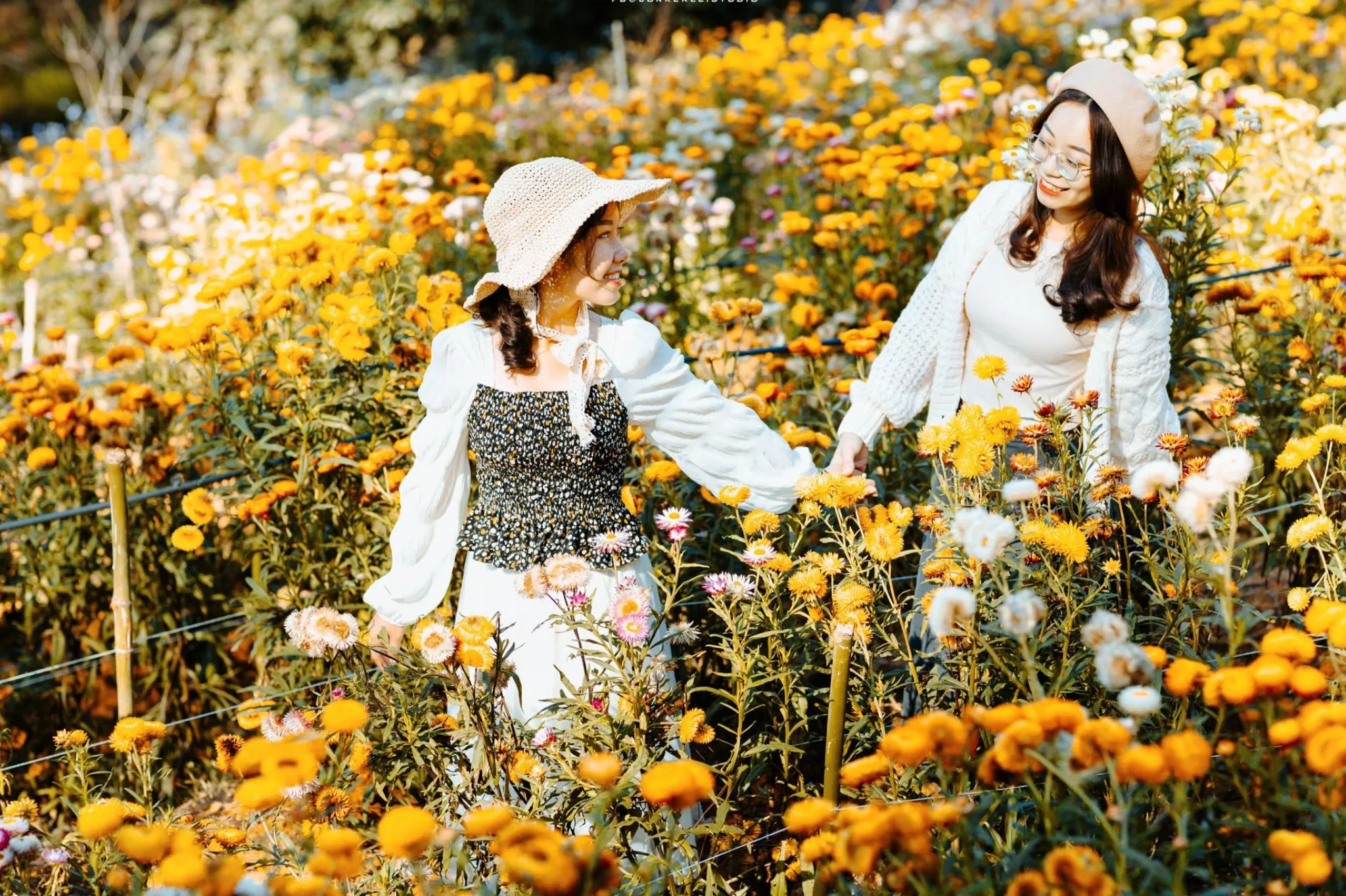 Nàng thơ giữa rừng hoa